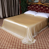 丝之缘家纺 纯色真丝床单100桑蚕丝床单单件 杭州丝绸正品特价