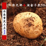 云南农家特产高山黄皮新鲜土豆8斤 马铃薯洋芋蔬菜 非迷你小土豆