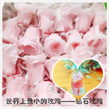 DIY饰品材料配件 永生玫瑰花玻璃罩填充物 钻石玫瑰1-2CM世界最小