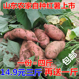 16年农家自种新鲜红薯甘薯山芋地瓜黄心小番薯现挖现发4斤