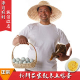 苏北农家新鲜土鸭蛋麻鸭蛋纯天然散养有机生鸭蛋30枚包装 包邮