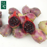 【南山寿果】海南野生仙人掌果 三亚热带新鲜水果红心仙人果 1斤