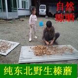 2015年新蘑菇 黑龙江五常干货 东北特产 野生针磨 榛蘑小鸡炖蘑菇