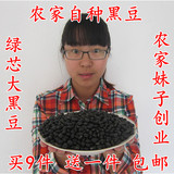 农家自产绿芯黑豆粗粮250g 纯天然大粒绿心大黑豆 新货  五谷杂粮