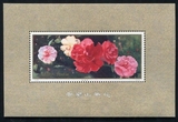 T37M 云南山茶花 小型张 全新全品 新中国邮票收藏