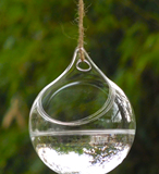 透明玻璃花瓶水培植物容器垂吊宽口悬挂式微景观创意生态花盆人气