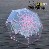 包邮日本樱花POE透明雨伞 环保少女碎花晴雨伞学生折叠超轻可爱伞