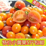 农家特产小西红柿 千禧圣女果 新鲜小番茄水果 有机蔬菜现摘5斤装