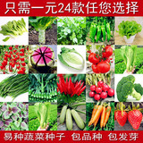 秋季蔬菜种子套餐 阳台盆栽四季播易种菜种子 家庭菜籽 水果种子