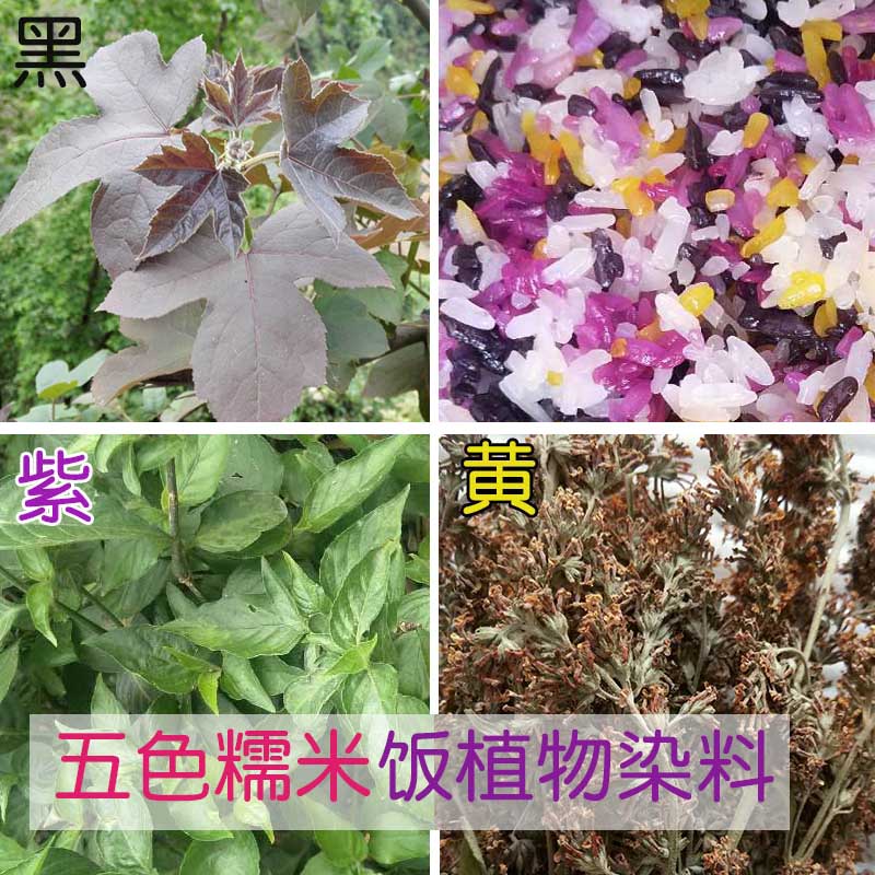 广西特产壮家花米饭纯天然植物染料五彩米染料黑红紫黄五色糯米饭