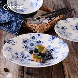 日本进口陶瓷盘子圆形菜盘套装家用创意个性餐具日式手绘青花盘子