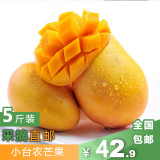 海南三亚特产新鲜水果小台农芒果鸡蛋芒珍珠芒热带水果5斤包邮