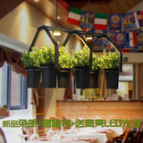 美式简约田园艺术花盆鲜花盆栽创意植物吊灯餐厅个性LED生态灯具