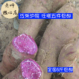 【老师粮心店】农家种植有机无公害蔬菜新鲜紫薯