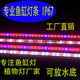 LED硬灯条防水滴胶鱼缸灯红蓝白色间隔水草植物生长灯12V硬灯条