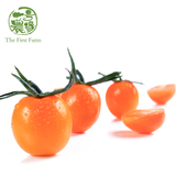 【一号农场】新鲜有机樱桃黄番茄 圣女果 新鲜采摘 农场直供350克