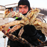 海鲜大王进口阿拉斯加 冰鲜帝王蟹速冻帝王蟹野生螃蟹海鲜水产