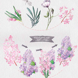 【PNG】浪漫手绘 水彩画 花卉植物 免抠图PS平面设计素材