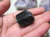 （石来运转9599）矿物晶体天然黑碧玺电气石原石标本1个