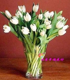 圣诞节郁金香白色花束北京鲜花速递生日纪念西城区鲜花店送花上门