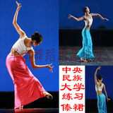 新款特价傣族舞蹈演出服装孔雀舞蹈服装女傣族裙子女装表演服