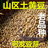 云南昭通山区农家自种非转基因土黄豆健康豆豆浆专用能发豆芽包邮