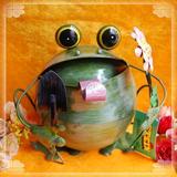 家装饰品/窗帘/地毯/花瓶/花器 青蛙 花盆 创意 花篮 花桶 创意