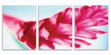 现代 清新花卉长方形三联无框画 客厅时尚简约装饰画挂画壁画版画