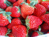 2015热卖奶油草莓 新鲜水果 同城送货上门 限苏州市区500g