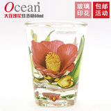 韩国进口Ocean白酒/烈烧酒杯 时尚精致高档 印花玻璃杯 大玫瑰花