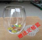鹅蛋型水培瓶玻璃花瓶透明花瓶送定植篮水培植物专用特价简约花瓶