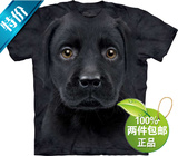 15新款美国代购正品The Mountain黑拉布拉多幼犬3d立体T恤男短袖