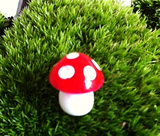 迷你可爱蘑菇树脂摆件 苔藓瓶桌面盆景仿真小蘑菇微景观DIY材料