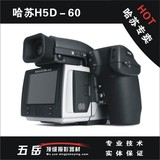哈苏/HASSELBLAD H5D-60中画幅专业数码单反相机 大陆行货 现货