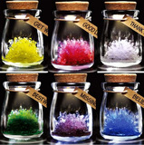正品许愿晶灵玻璃瓶 DIY自种水晶 星座精灵晶灵许愿瓶 带灯精灵！