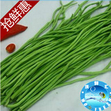 豇豆500g，新鲜蔬菜有机肥种植，菜市场生鲜超市 顾村刘行服务站