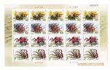新中国邮票—2002-14 沙漠植物 大版票（挺版不破 全品）