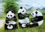 PET 高清3D画批发 三维立体画 熊猫 动物立体画 室内装饰画