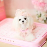 PET‘STYLE小型犬宠物网格厕所  狗狗日用品粉色可爱草莓 狗厕所