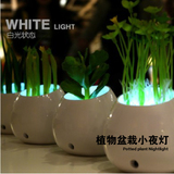 LYL/光感植物盆栽小夜灯/时尚简约创意/客厅卧室床头台灯LED