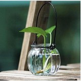zakka杂货悬挂透明玻璃插花瓶摆件 创意南瓜客厅吊球水培花器吊瓶