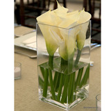 花瓶玻璃透明方缸 30cm高方形花瓶 欧式经典桌面摆放高品质花插