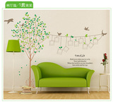 包邮相框照片墙贴树 个性创意装饰教室卧室客厅沙发墙壁贴纸贴画
