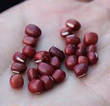 农家五谷杂粮红小豆赤小豆500g5斤包邮红豆赤豆薏米绝配