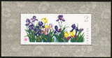 T72M 药用植物小型张(第二组）白草药   邮票 集邮 收藏 保真全品