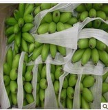 一淘水果三亚新鲜小米焦/皇帝香蕉海南正宗原产美容水果5斤包邮