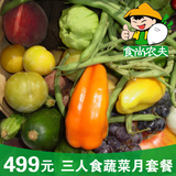 食尚农夫 三口家庭月套餐有机绿色新鲜蔬菜配送8次 广东顺丰包邮