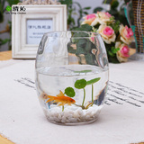 清沁 水培玻璃花瓶 透明简约大鹅蛋型花瓶 水养花卉绿植容器