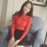 2016秋装韩版修身纯色半高领毛衣长袖螺纹针织线衫女打底