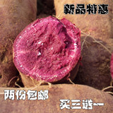 新鲜蔬菜 番薯 紫薯 粗粮紫薯越南紫薯地瓜 农家自种新鲜紫薯